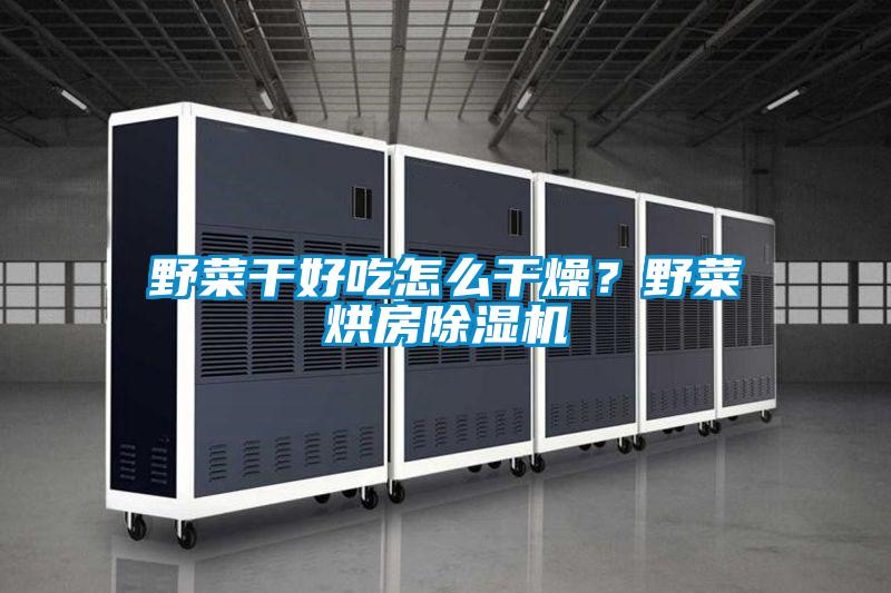 野菜干好吃怎么干燥？野菜烘房除濕機