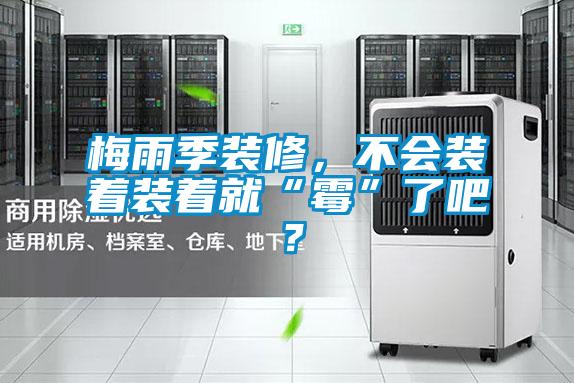 梅雨季裝修，不會裝著裝著就“霉”了吧？