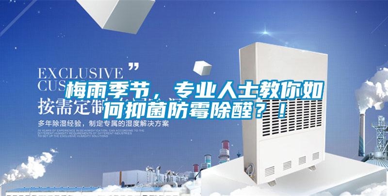 梅雨季節，專業人士教你如何抑菌防霉除醛？！