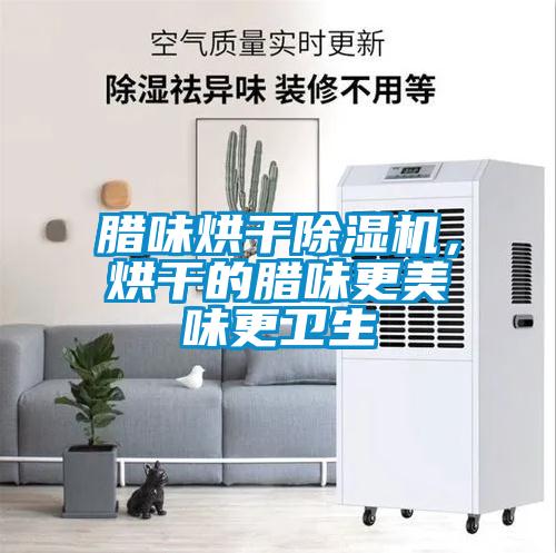 臘味烘干除濕機，烘干的臘味更美味更衛生