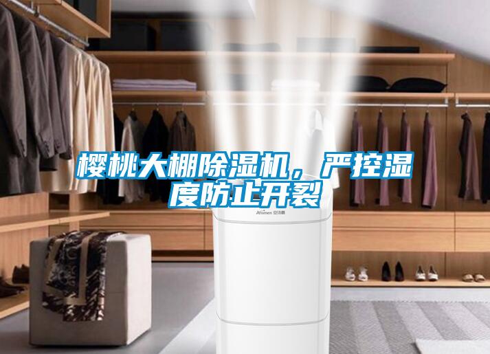 櫻桃大棚除濕機，嚴控濕度防止開裂