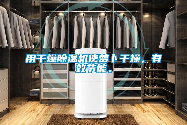 用干燥除濕機(jī)使蘿卜干燥，有效節(jié)能。