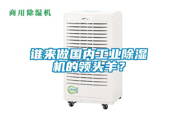 誰來做國內工業除濕機的領頭羊？