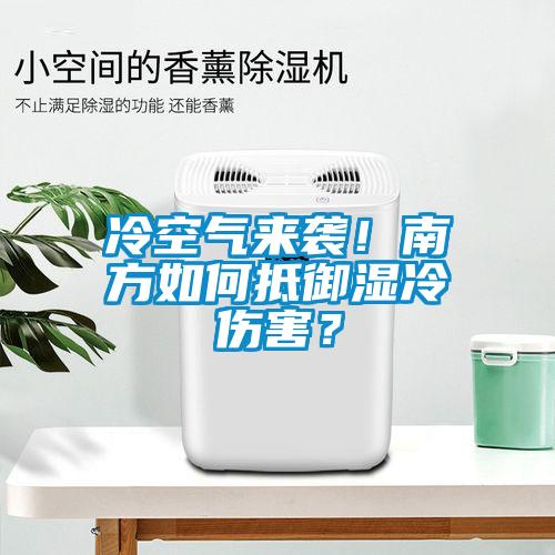 冷空氣來襲！南方如何抵御濕冷傷害？