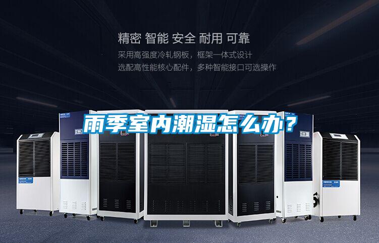雨季室內潮濕怎么辦？