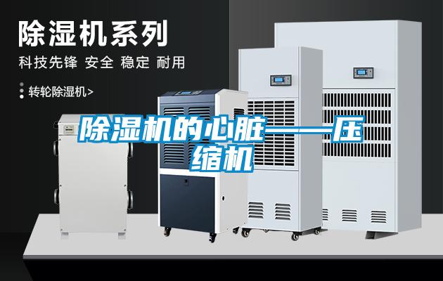 除濕機(jī)的心臟——壓縮機(jī)