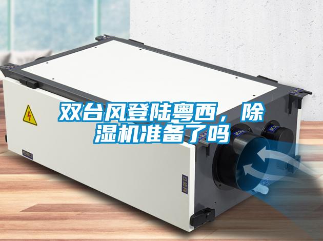 雙臺風登陸粵西，除濕機準備了嗎
