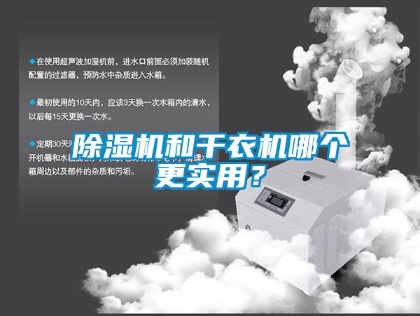 除濕機和干衣機哪個更實用？
