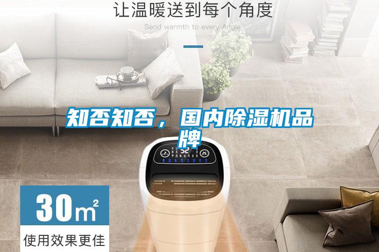 知否知否，國內(nèi)除濕機品牌