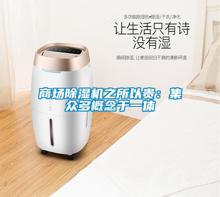 商場(chǎng)除濕機(jī)之所以貴：集眾多概念于一體