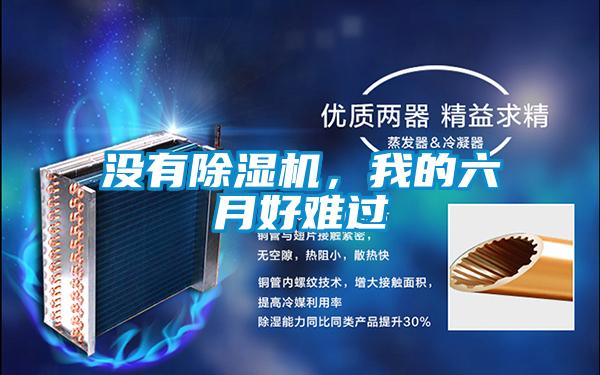沒有除濕機，我的六月好難過