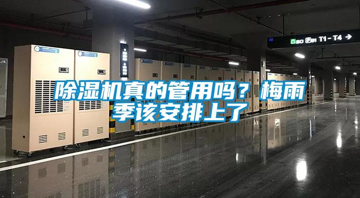 除濕機真的管用嗎？梅雨季該安排上了