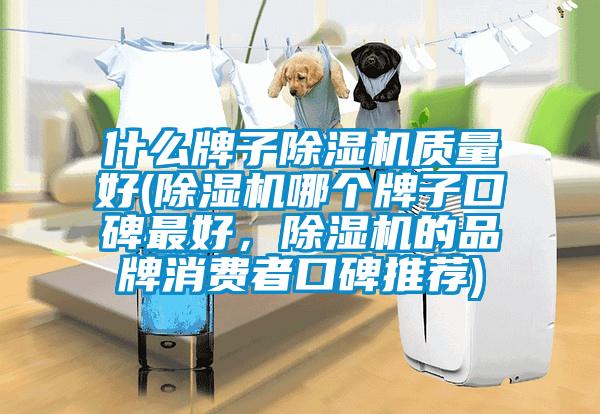 什么牌子除濕機質量好(除濕機哪個牌子口碑最好，除濕機的品牌消費者口碑推薦)