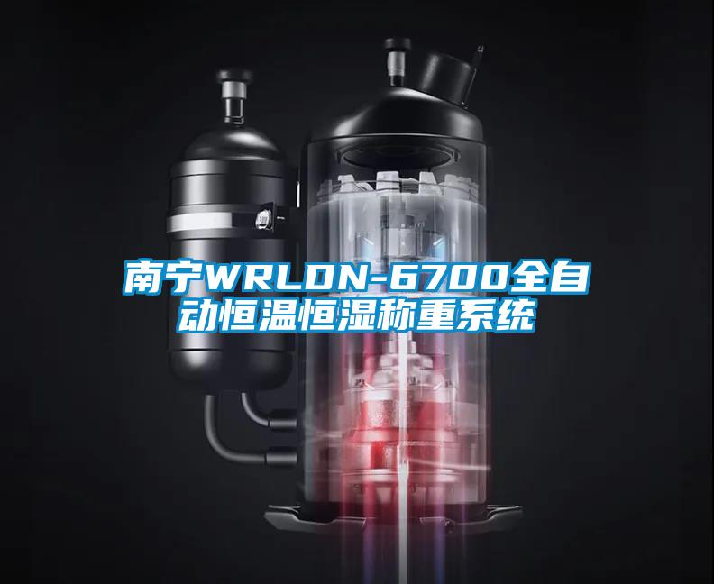 南寧WRLDN-6700全自動恒溫恒濕稱重系統