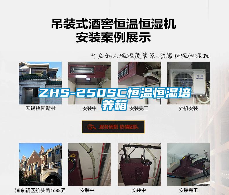 ZHS-250SC恒溫恒濕培養箱