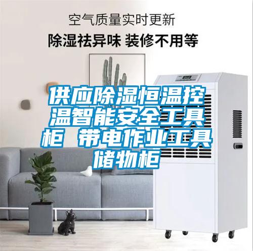 供應(yīng)除濕恒溫控溫智能安全工具柜 帶電作業(yè)工具儲物柜
