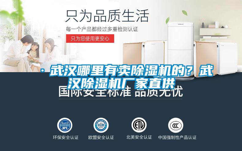 ·武漢哪里有賣除濕機(jī)的？武漢除濕機(jī)廠家直供