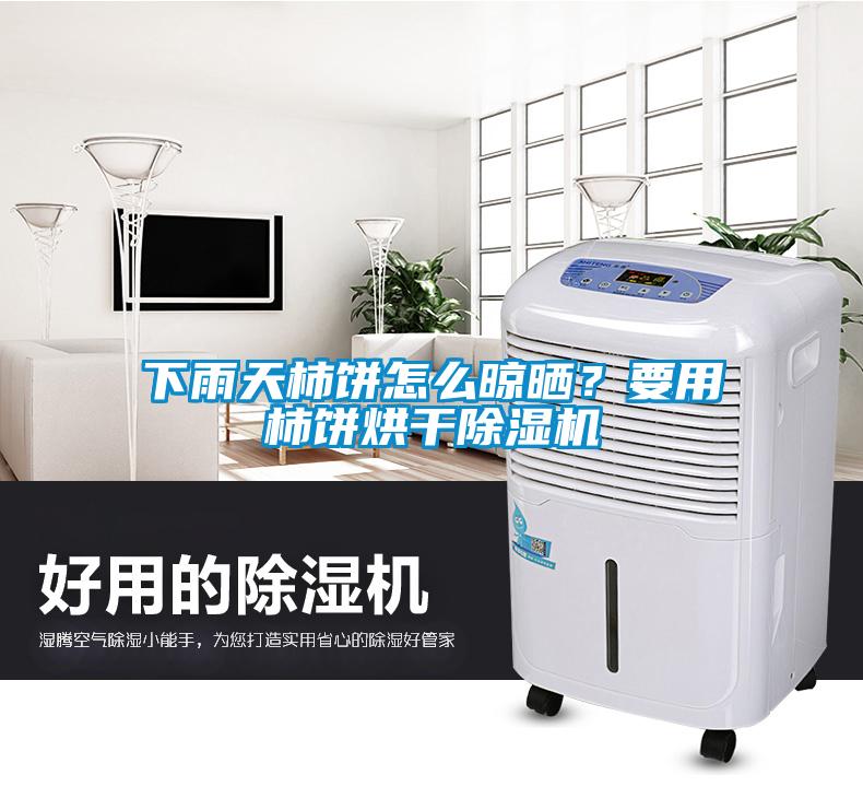 下雨天柿餅怎么晾曬？要用柿餅烘干除濕機(jī)