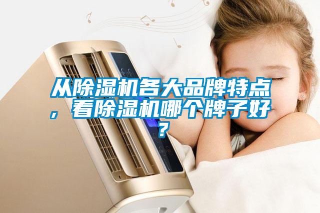 從除濕機各大品牌特點, 看除濕機哪個牌子好？