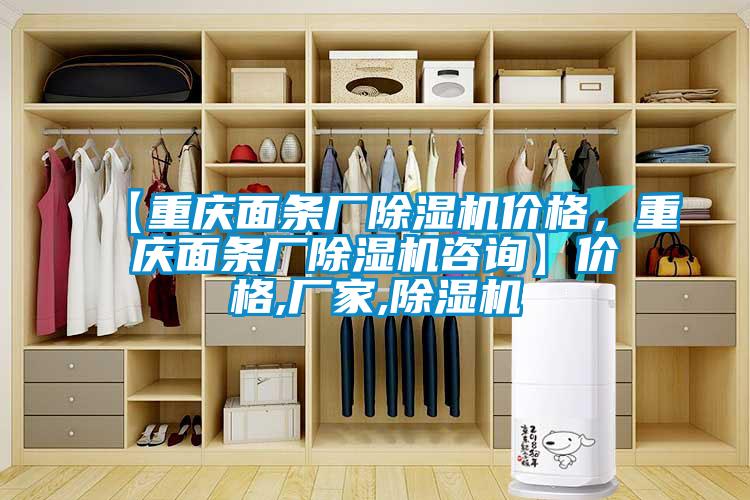【重慶面條廠除濕機(jī)價(jià)格，重慶面條廠除濕機(jī)咨詢】價(jià)格,廠家,除濕機(jī)