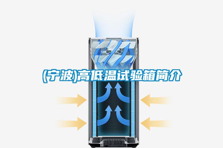 (寧波)高低溫試驗(yàn)箱簡介