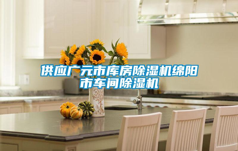 供應(yīng)廣元市庫(kù)房除濕機(jī)綿陽(yáng)市車(chē)間除濕機(jī)