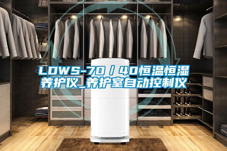 LDWS-70／40恒溫恒濕養護儀_養護室自動控制儀