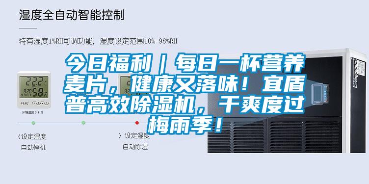 今日福利｜每日一杯營(yíng)養(yǎng)麥片，健康又落味！宜盾普高效除濕機(jī)，干爽度過梅雨季！
