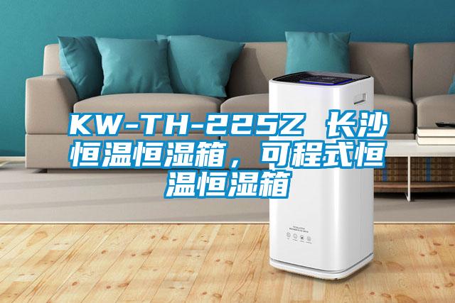 KW-TH-225Z 長沙恒溫恒濕箱，可程式恒溫恒濕箱