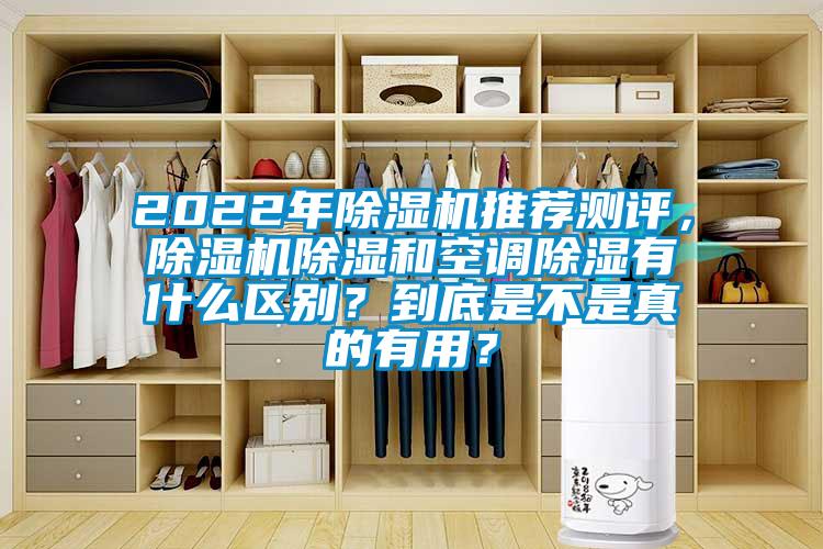 2022年除濕機推薦測評，除濕機除濕和空調除濕有什么區別？到底是不是真的有用？