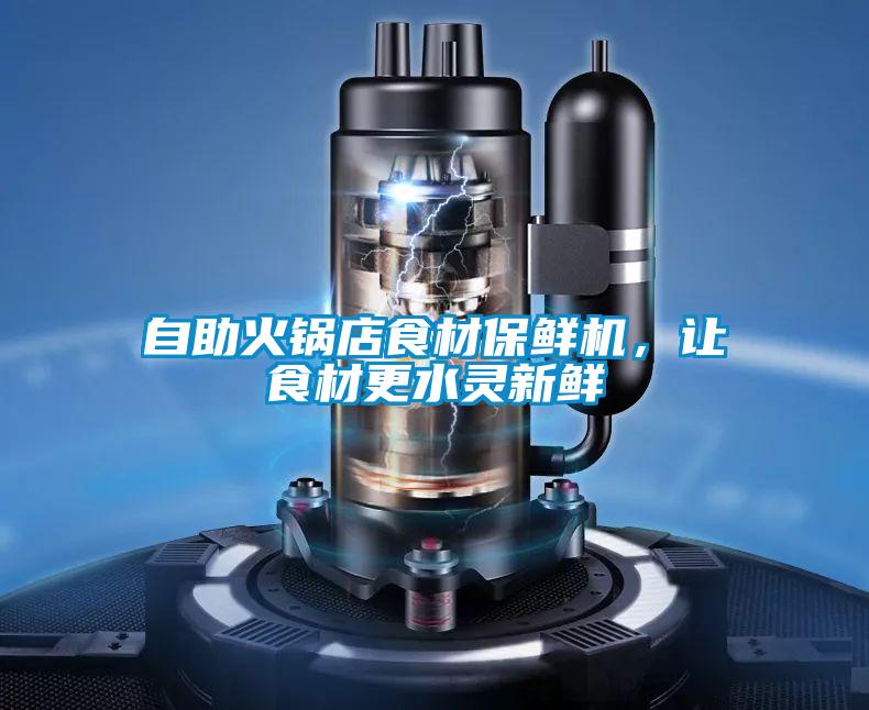 自助火鍋店食材保鮮機，讓食材更水靈新鮮