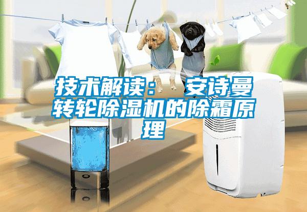 技術解讀： 安詩曼轉輪除濕機的除霜原理