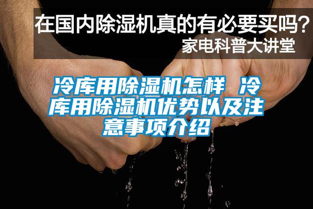 冷庫用除濕機怎樣 冷庫用除濕機優(yōu)勢以及注意事項介紹