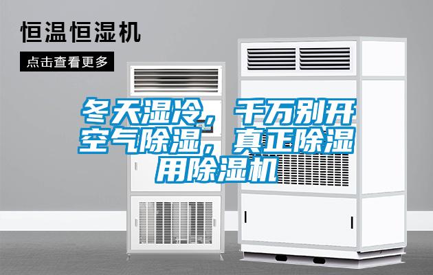 冬天濕冷，千萬別開空氣除濕，真正除濕用除濕機