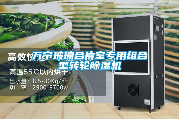 萬(wàn)寧玻璃合片室專用組合型轉(zhuǎn)輪除濕機(jī)