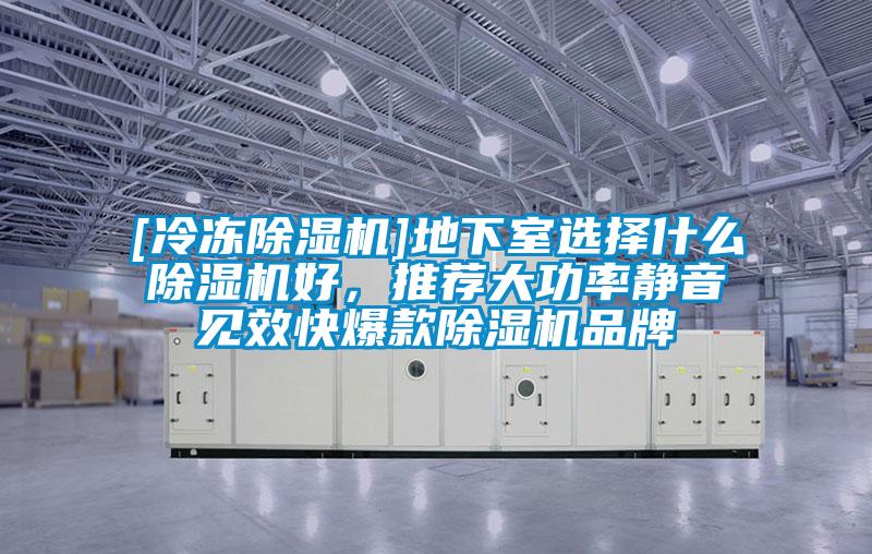 [冷凍除濕機(jī)]地下室選擇什么除濕機(jī)好，推薦大功率靜音見(jiàn)效快爆款除濕機(jī)品牌