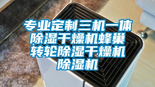 專業(yè)定制三機(jī)一體除濕干燥機(jī)蜂巢轉(zhuǎn)輪除濕干燥機(jī)除濕機(jī)