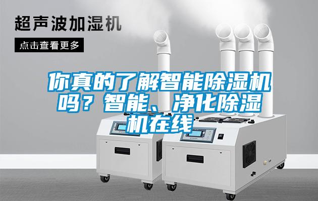 你真的了解智能除濕機嗎？智能、凈化除濕機在線