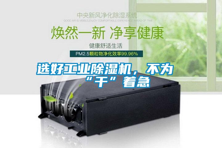 選好工業(yè)除濕機，不為“干”著急