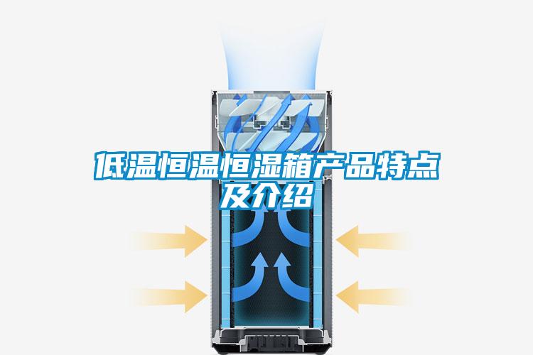 低溫恒溫恒濕箱產(chǎn)品特點及介紹