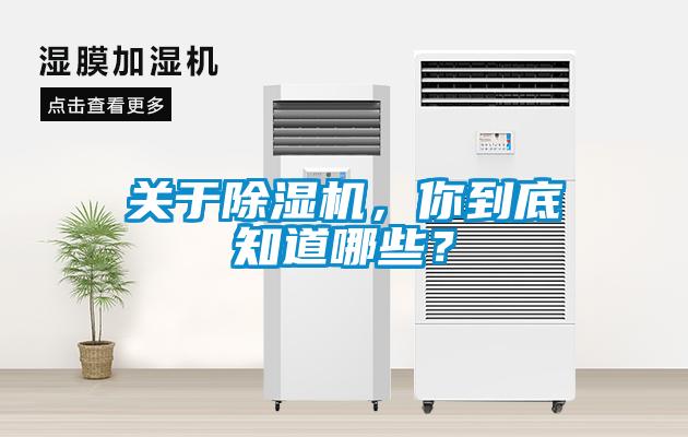 關(guān)于除濕機，你到底知道哪些？