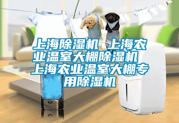 上海除濕機 上海農業溫室大棚除濕機 上海農業溫室大棚專用除濕機