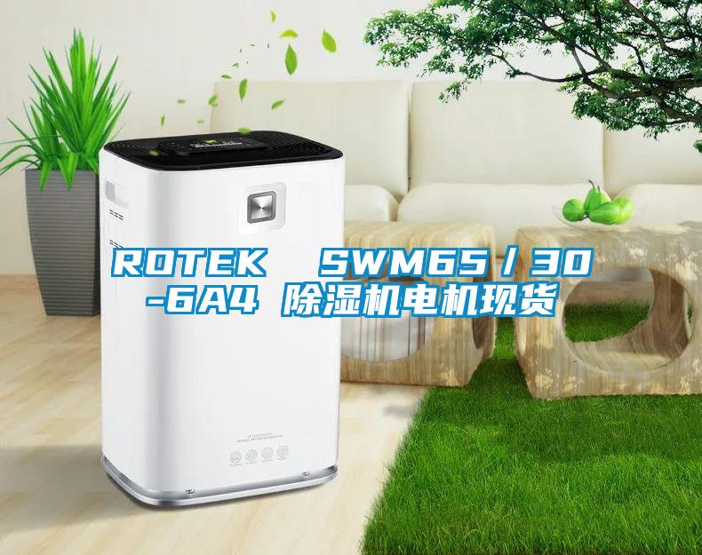 ROTEK SWM65/30-6A4 除濕機電機現貨