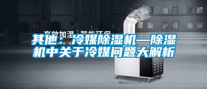其他：冷媒除濕機—除濕機中關于冷媒問題大解析