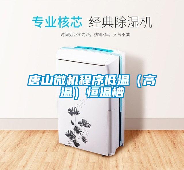 唐山微機程序低溫（高溫）恒溫槽