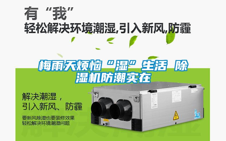 梅雨天煩惱“濕”生活 除濕機防潮實在