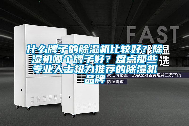什么牌子的除濕機比較好？除濕機哪個牌子好？盤點那些專業人士極力推薦的除濕機品牌