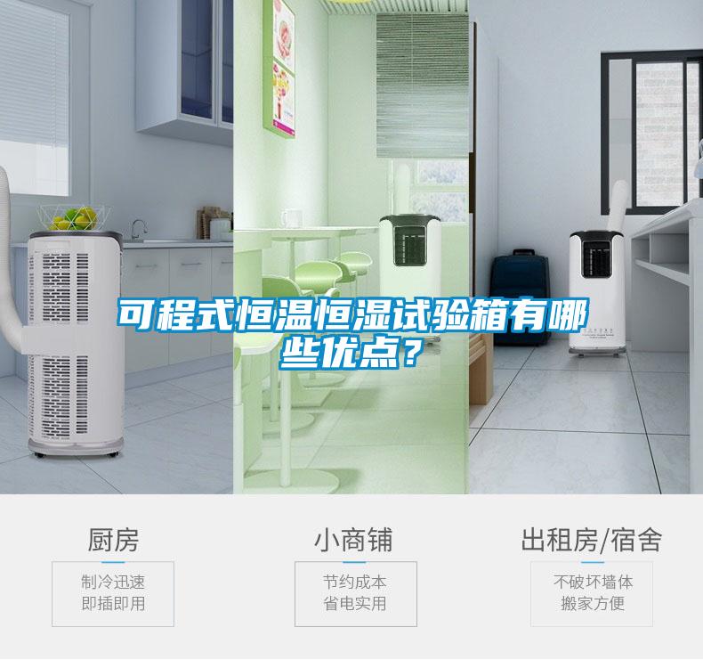 可程式恒溫恒濕試驗(yàn)箱有哪些優(yōu)點(diǎn)？
