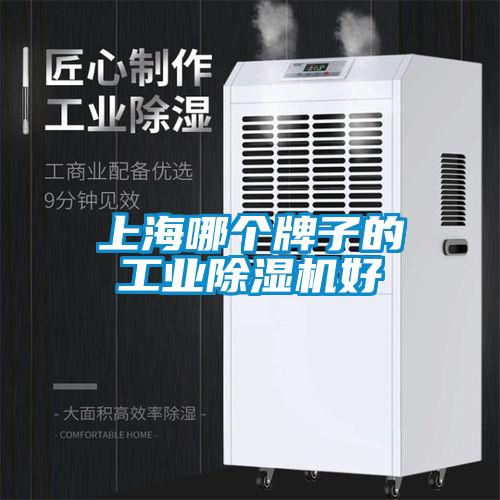 上海哪個(gè)牌子的工業(yè)除濕機(jī)好
