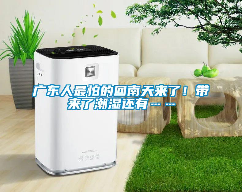廣東人最怕的回南天來了！帶來了潮濕還有……